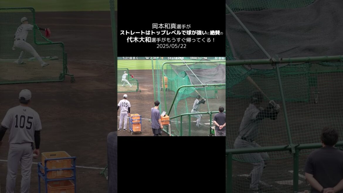 【巨人】岡本和真選手絶賛の代木大和選手がもうすぐ帰ってくる！ #shorts #baseball #sports #ジャイアンツ #巨人 #プロ野球