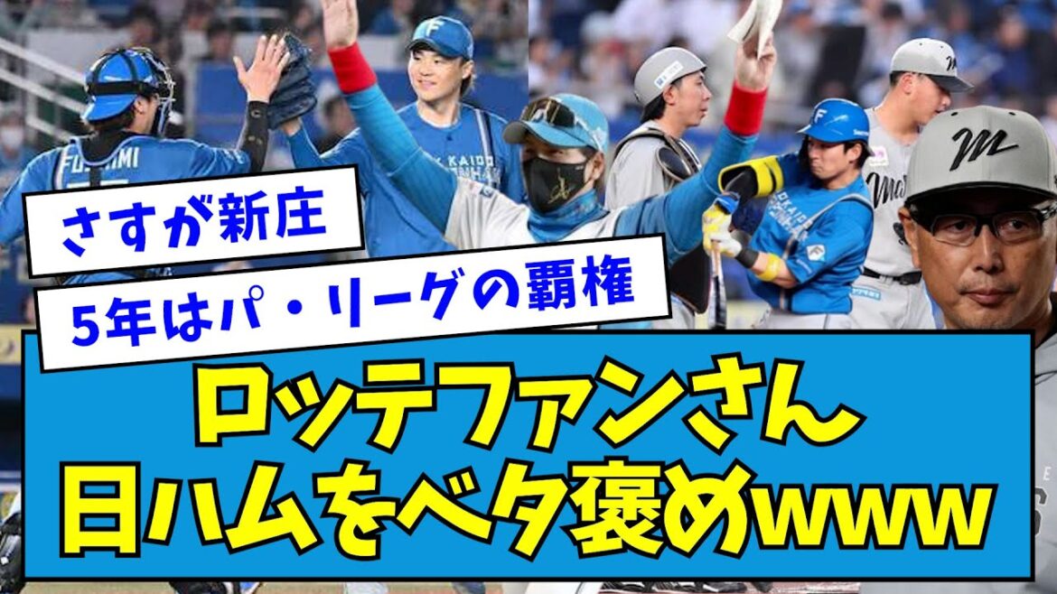 【にっこり】完封されたロッテファンさん、ハムファンが昇天レベルに褒めてくれるwwwww【なんJ反応】