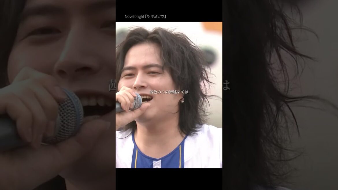 Novelbright『ツキミソウ』in『BLUE☆LIGHT SERIES 2025 Supported by nojima』