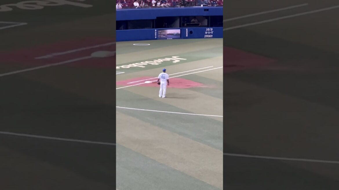 一塁はビシエドでしょ🌈 ナゴヤドームライトスタンド⚾️2024.5.26 ヤクルト戦 5-0  #村上#中田 #ビジエド