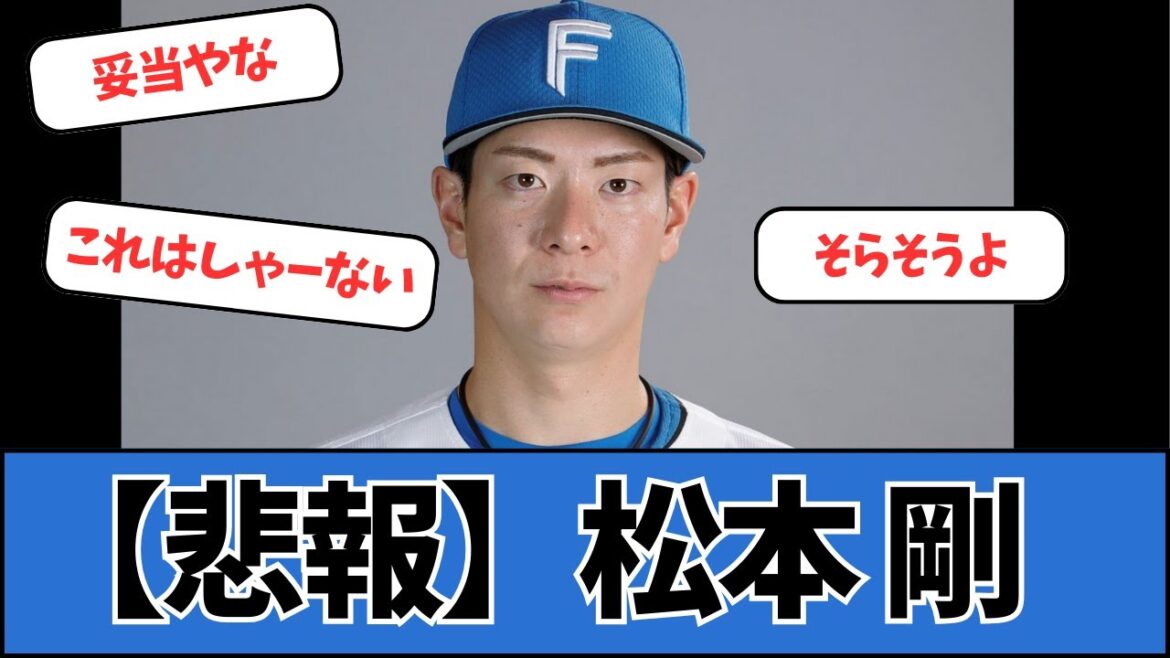【悲報】日本ハム、松本剛