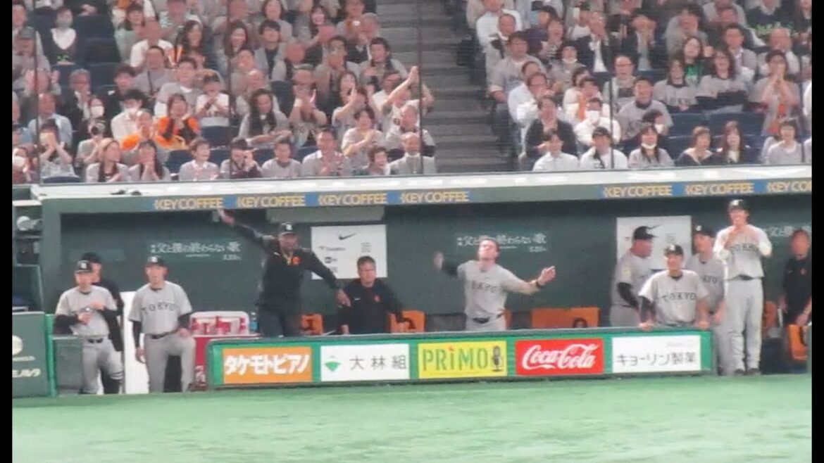 赤星優志タイムリーヒットで腕をぐるぐる回すベンチの通訳ウィーラーとキャベッジが面白い【読売ジャイアンツ対 ヤクルトスワローズ2025年5月23日】