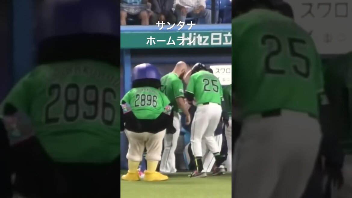 つば九郎、ホームランを放ったサンタナを祝福する #東京ヤクルトスワローズ #つば九郎 #shorts