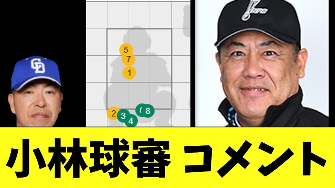 小林球審　今日の阪神vs中日の9回に起きた事件についてコメント