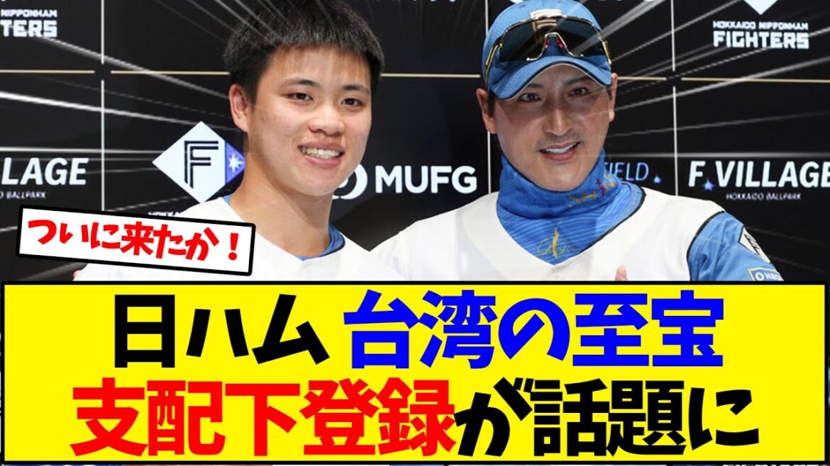 日本ハム  台湾の至宝 支配下登録が話題に