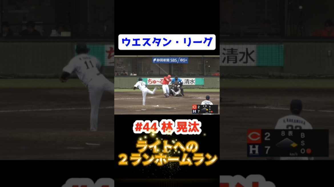 ファーム くふうハヤテ vs カープ 2025/5/22【ライトスタンドへの２ランホームラン】#44林晃汰 #carp #広島東洋カープ #広島 #ウエスタン