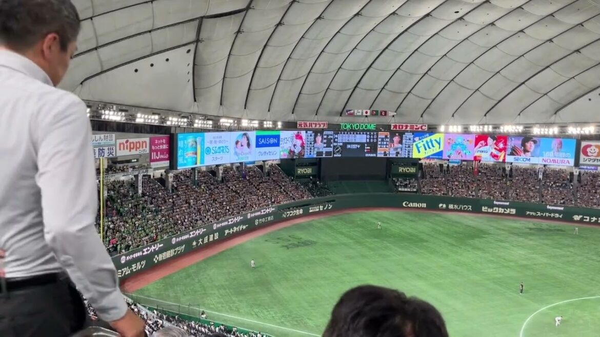 2025 ヤクルト 赤羽由紘 応援歌