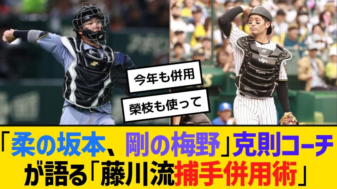 「柔の坂本、剛の梅野」野村克則コーチが語る「藤川流捕手併用術」後継育成へ「ノムラの教え」注入も　【ネットの反応】【反応集】