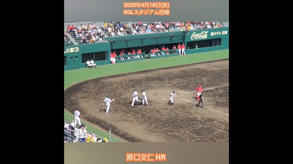 20250418【現地】原口文仁　ホームラン　#shorts　阪神ﾀｲｶﾞｰｽ2軍@日鉄鋼板SGLｽﾀｼﾞｱﾑ尼崎［ｳｴｽﾀﾝ･ﾘｰｸﾞ 2軍戦］