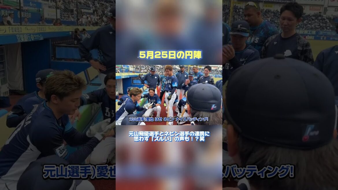 【ずるい連携プレー！？】元山飛優選手とネビン選手の声出し！