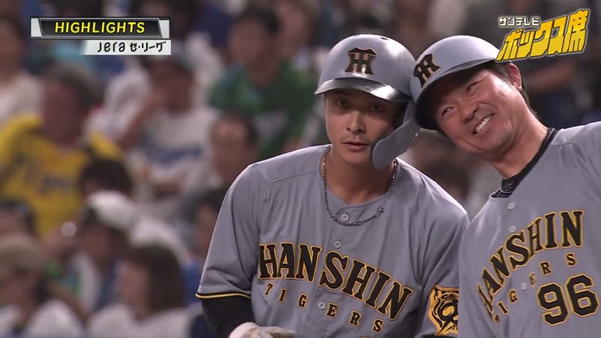 【5/25 中日ー阪神ハイライト】今日も投手戦…堅実プレーでカード勝ち越し #サンテレビボックス席