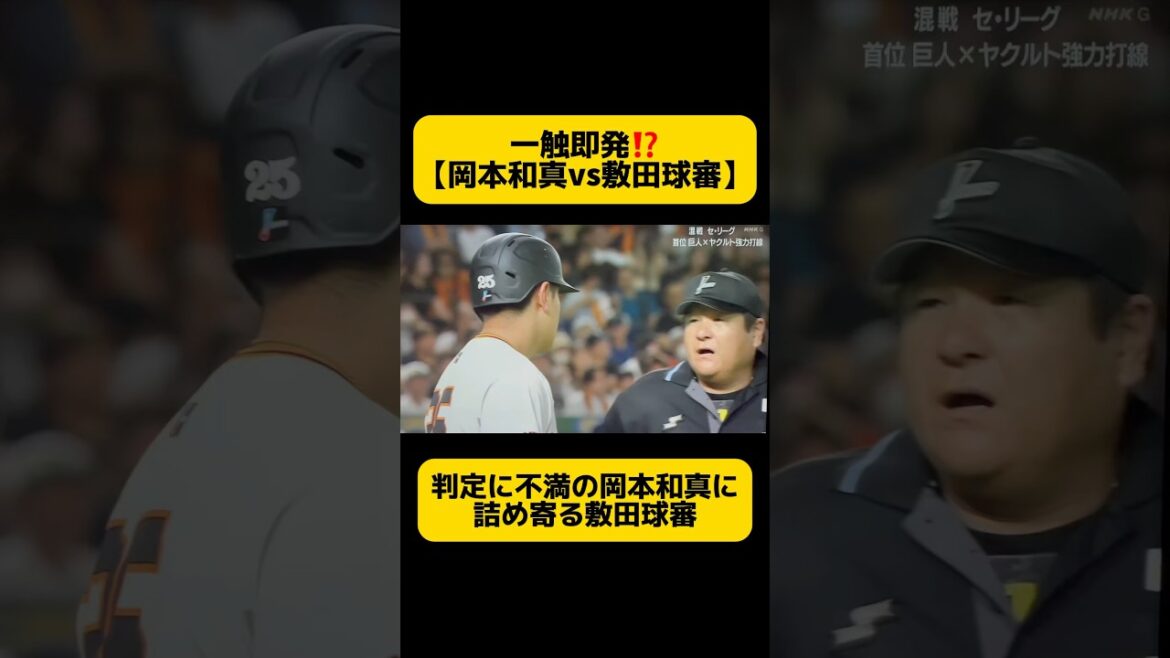 【巨人・岡本和真vs敷田球審】が睨み合う
