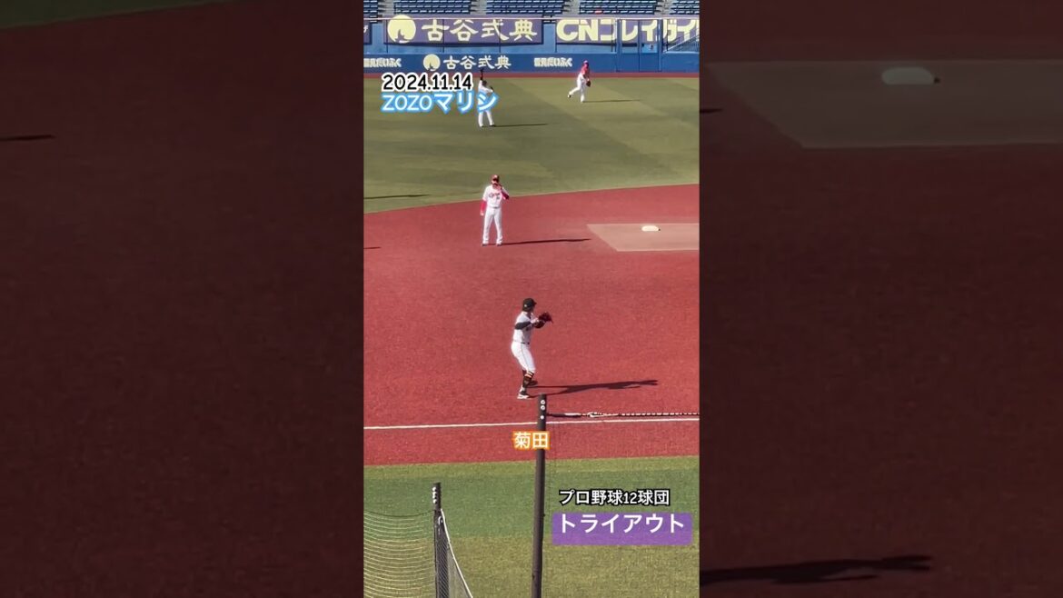 【プロ野球】12球団合同トライアウト2024
