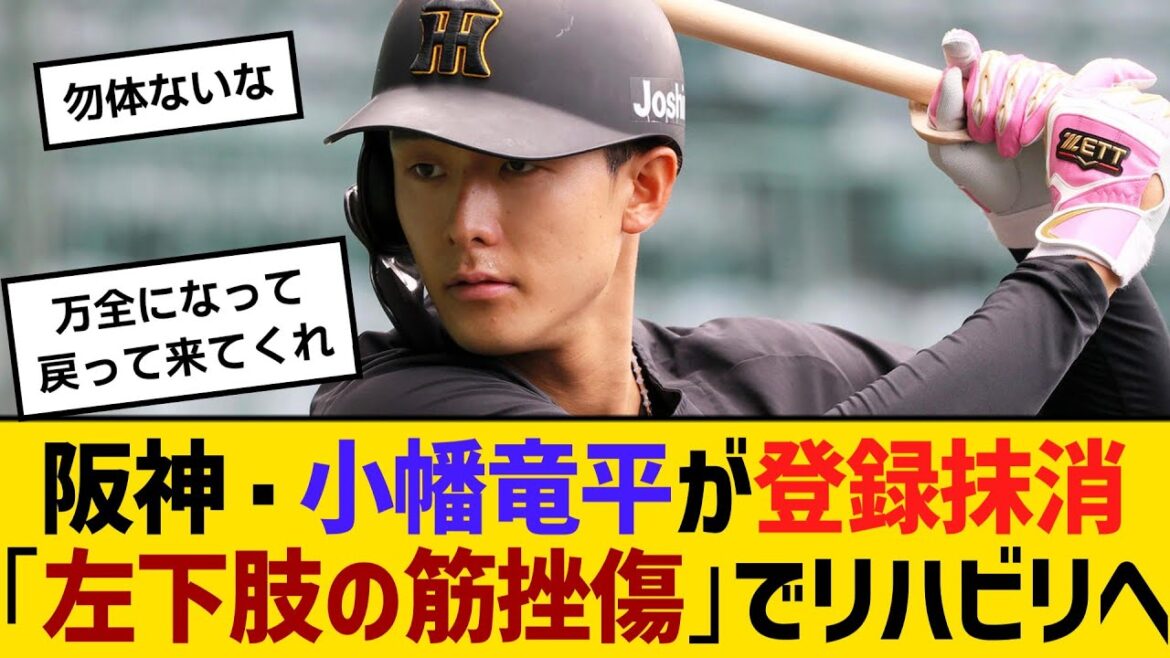 阪神・小幡竜平が登録抹消「左下肢の筋挫傷」でリハビリへ　藤川監督「長引くよりも、1度登録を外して、という判断」　【ネットの反応】【反応集】