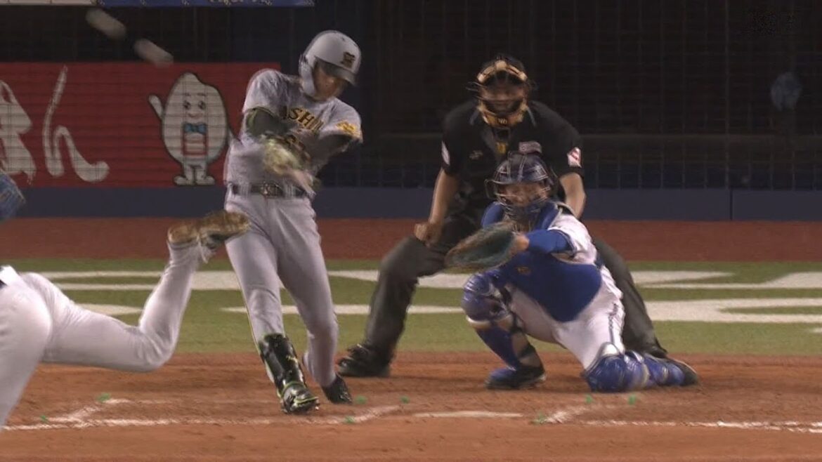 阪神タイガース 高寺望夢 プロ初ホームラン 2025/5/13 横浜DeNA vs. 阪神 7回戦 ＠ハードオフエコスタジアム新潟