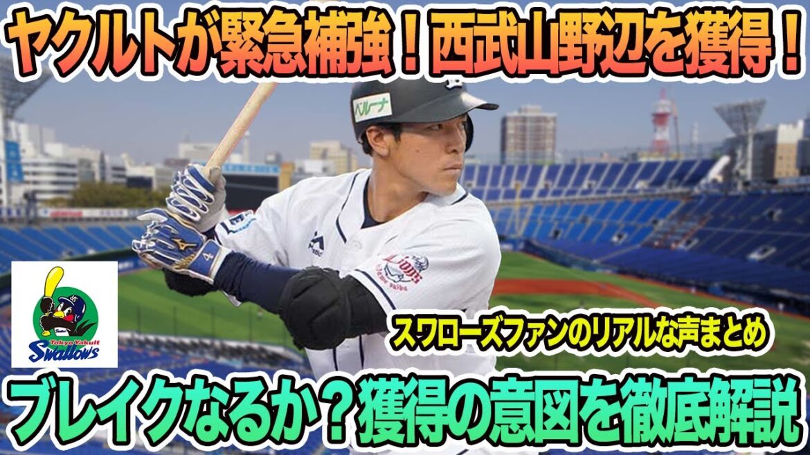 【ヤクルト】ヤクルトが緊急補強！西武から山野辺翔を獲得、ブレイクなるか？獲得の意図徹底解説　ヤクルト　開幕ローテ　スワローズ　高津監督　　　ヤクルトスワローズ