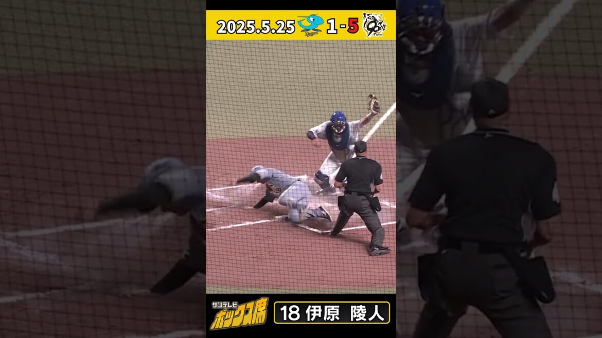 【激走】ドラ1伊原投手・1塁からホームを狙うベースランニング！（2025年5月25日 中日-阪神） #サンテレビボックス席