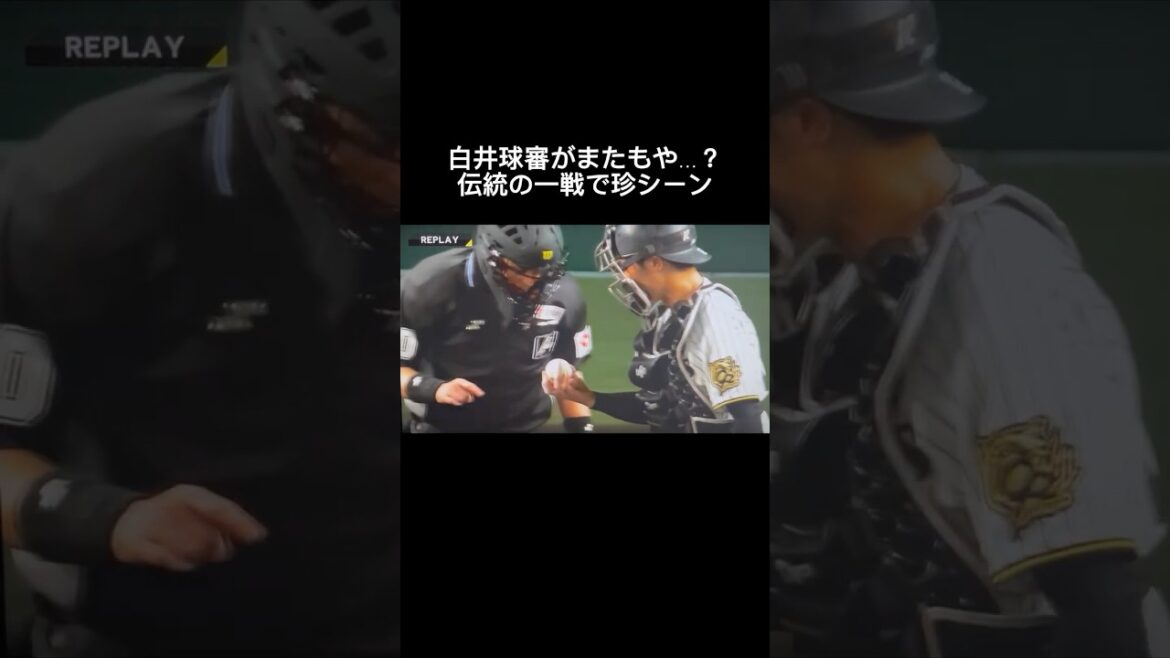 阪神vs巨人の一戦で、白井球審が誤審を認め、判定が覆る珍しいシーンがありました #shorts #白井球審 #白井一行 #誤審 #阪神タイガース #坂本誠志郎 阪神vs巨人の一戦で、白井球審が誤審を認め、判定が覆る珍しいシーンがありました #shorts #白井球審 #白井一行 #誤審 #阪神タイガース #坂本誠志郎