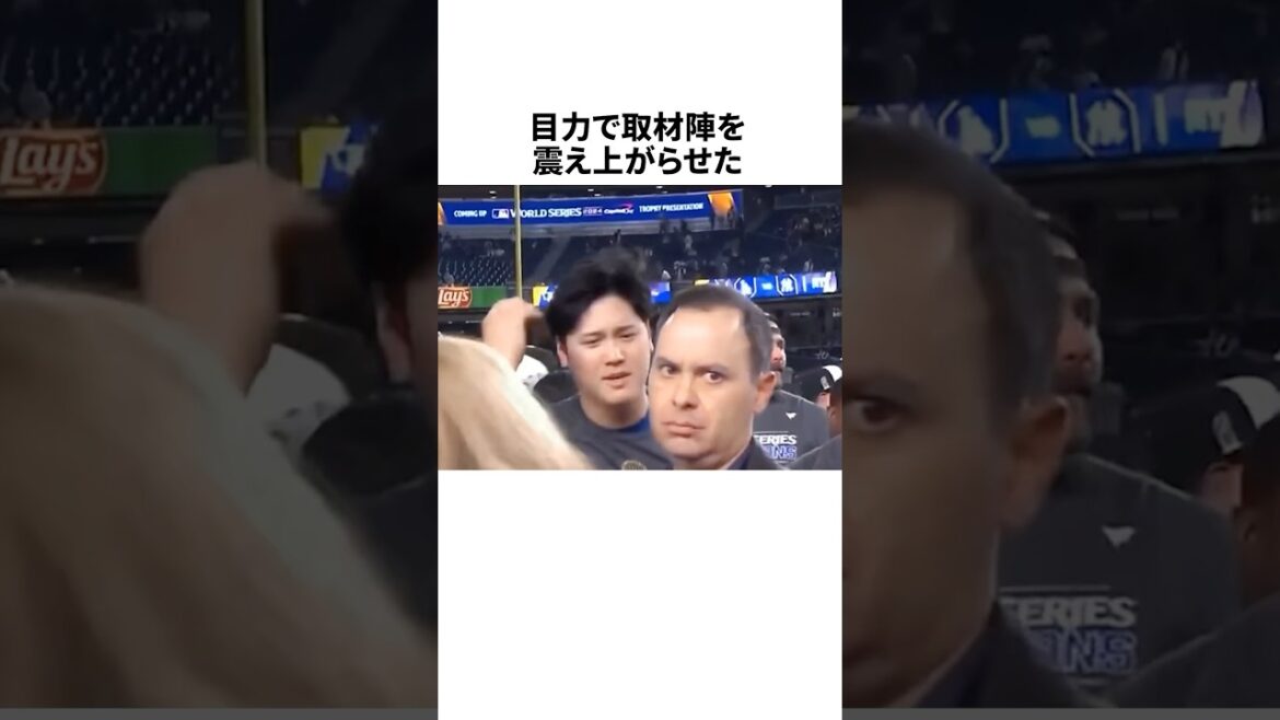 大谷翔平が取材陣を震え上がらせた瞬間　#野球 #プロ野球 #野球雑学 #大谷翔平