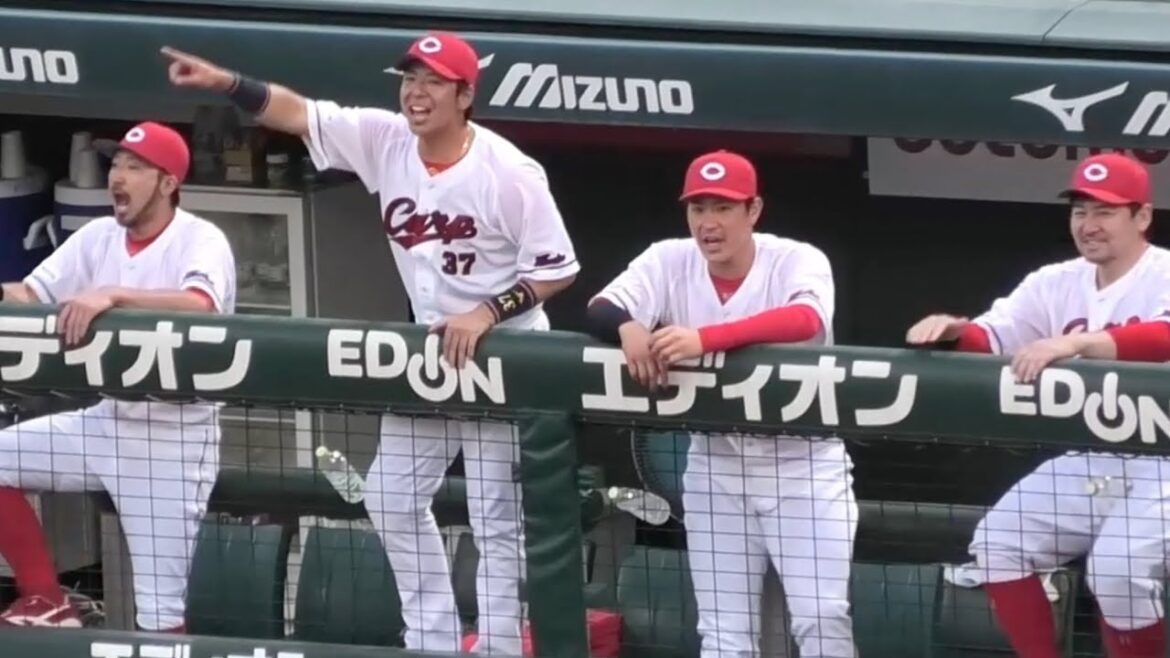 2回、矢野雅哉のタイムリーに沸くカープベンチ(ベテラン陣)！広島東洋カープvs東京ヤクルトスワローズ 2025年5月20日