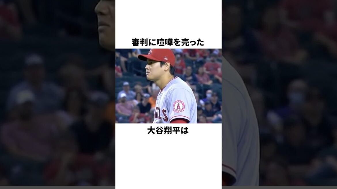 大谷翔平が審判をド突いた結果・・・ #野球 #プロ野球 #野球雑学 #大谷翔平