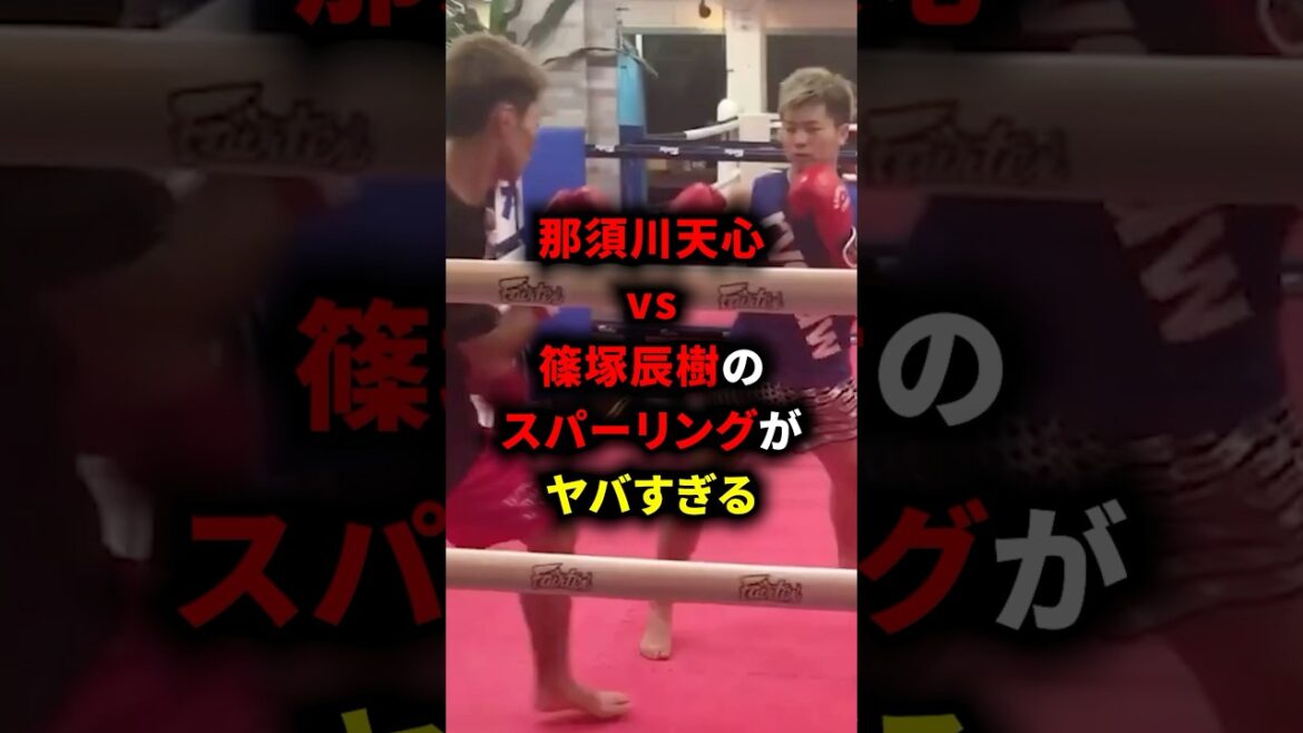 那須川天心vs篠塚辰樹のスパーリングがヤバすぎる #格闘技 #ボクシング #那須川天心 #boxing #井上尚弥