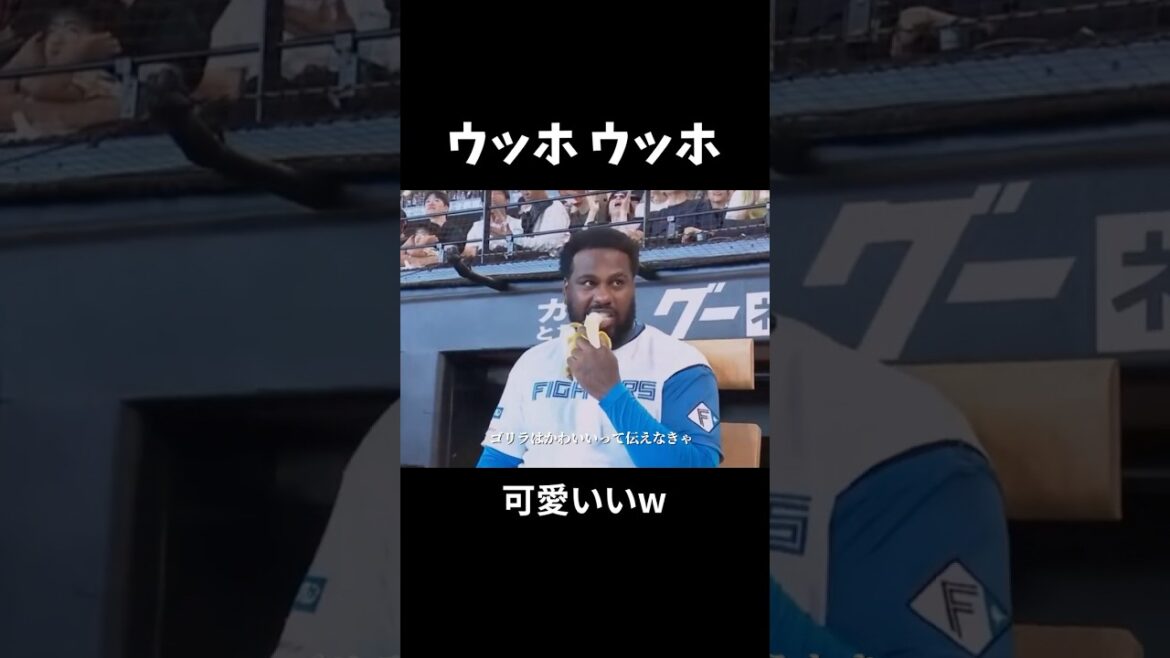 ゴリラは可愛いって伝えなきゃ♪ #ウッホウッホ #ゴリラ #エッホエッホ #プロ野球