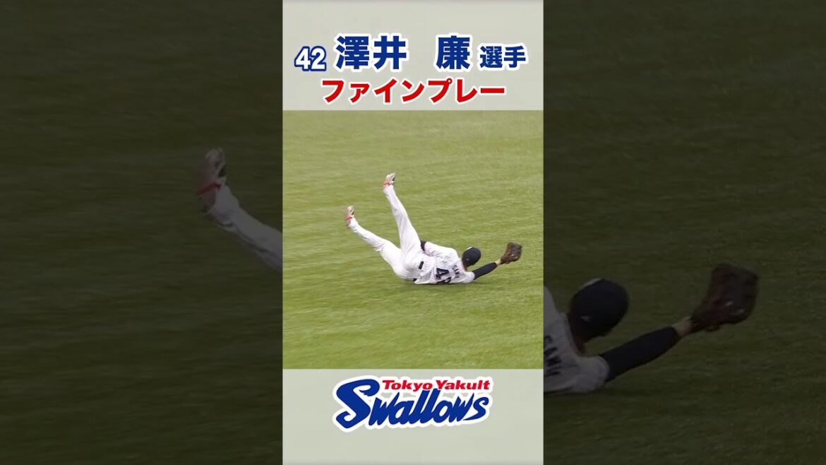 澤井廉選手 ファインプレー  #swallows #澤井廉 #shorts