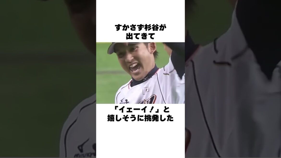 「カーブ投げますと煽った杉谷拳士」中田翔についての雑学 #野球 #野球雑学 #北海道日本ハムファイターズ