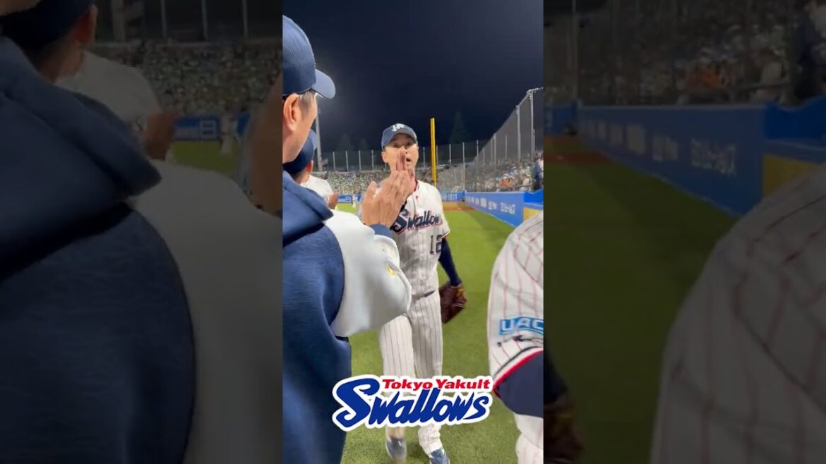 勝利後のハイタッチ #swallows #shorts