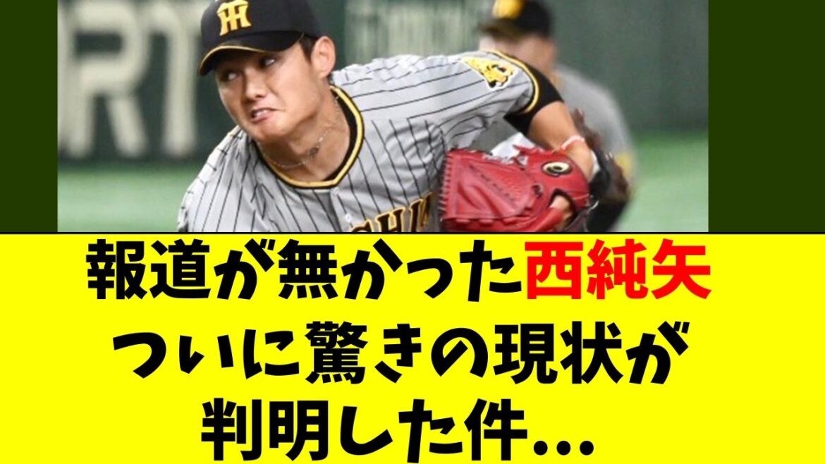 【阪神】西純矢の驚きの現状がついに報道された件・・・ 【阪神】西純矢の驚きの現状がついに報道された件・・・