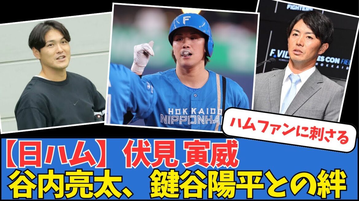 【日ハム】伏見寅威、谷内亮太&鍵谷陽平との絆 【日ハム】伏見寅威、谷内亮太&鍵谷陽平との絆
