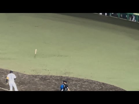 【森下が見た!!決めた】阪神 2025年初サヨナラ勝ち 森下翔太 サヨナラ四球 2025.5.27 倉敷マスカットスタジアム 【森下が見た!!決めた】阪神 2025年初サヨナラ勝ち 森下翔太 サヨナラ四球 2025.5.27 倉敷マスカットスタジアム