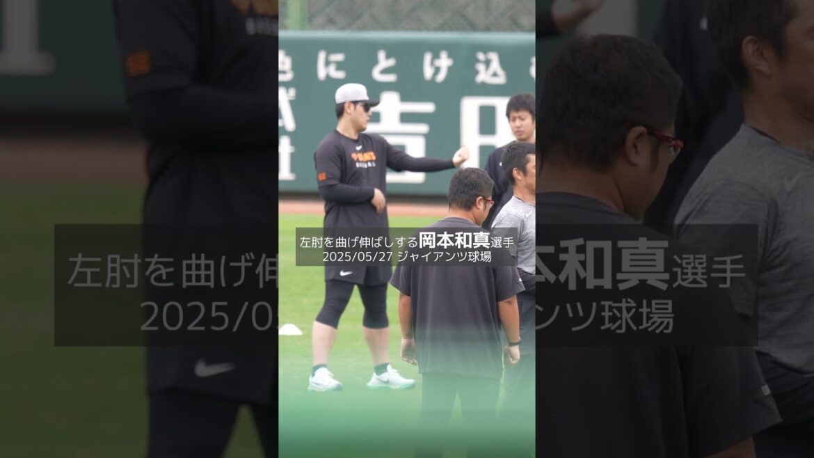 【巨人】左肘を曲げ伸ばしする岡本和真選手 #shorts #baseball #sports #ジャイアンツ #巨人 #プロ野球