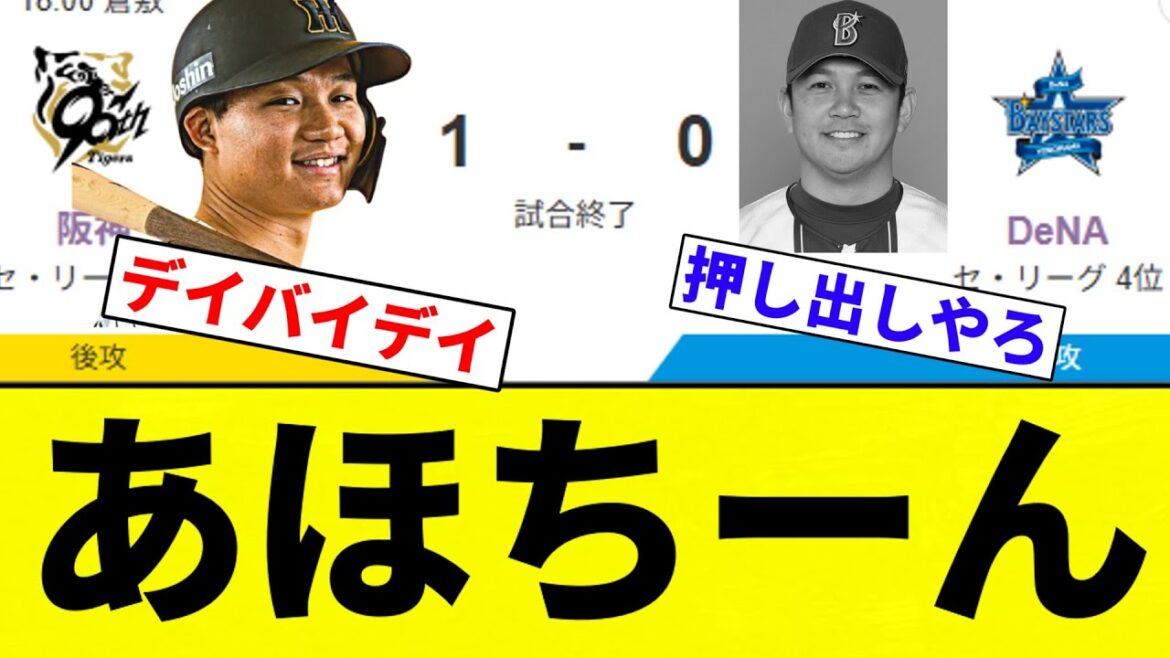 【阪神VS横浜】あほちーん【プロ野球反応集】【2chスレ】【なんG】