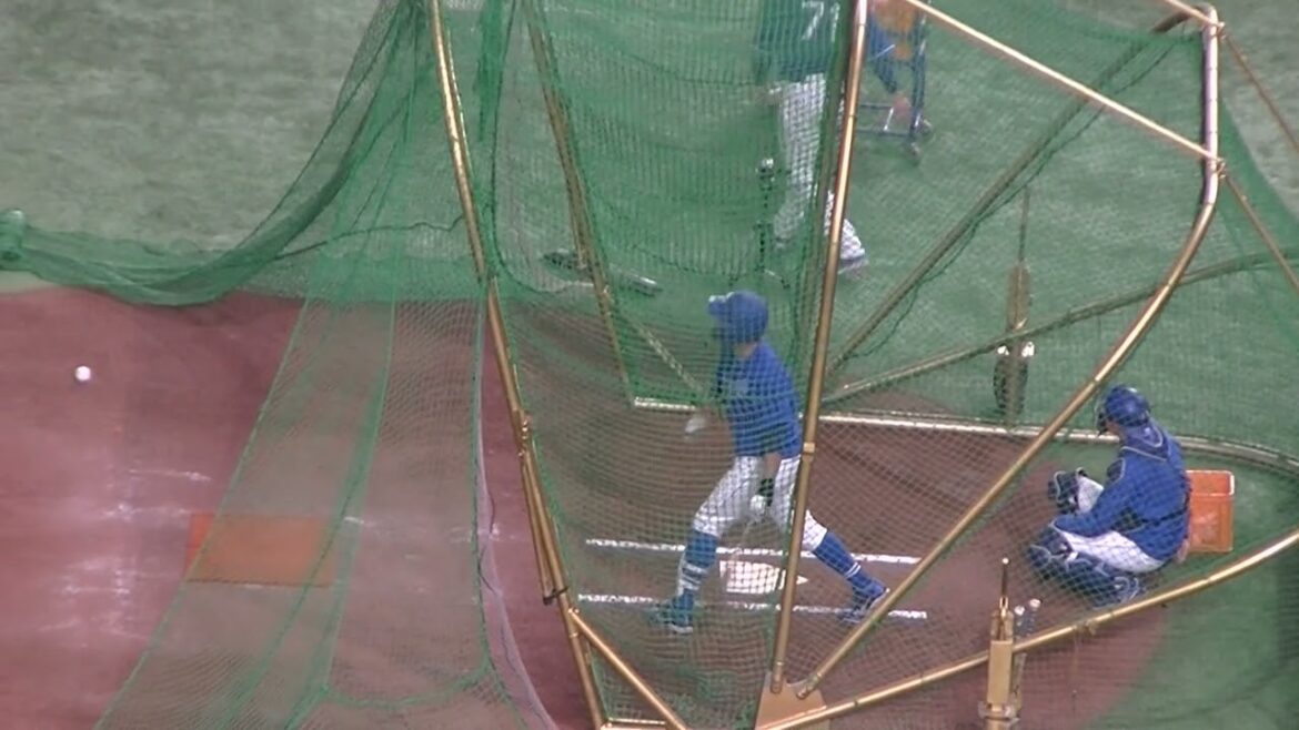 【ドラゴンズ】木下拓哉フリーバッティング＜読売ジャイアンツ 対 中日ドラゴンズ 2024年4月24日＞