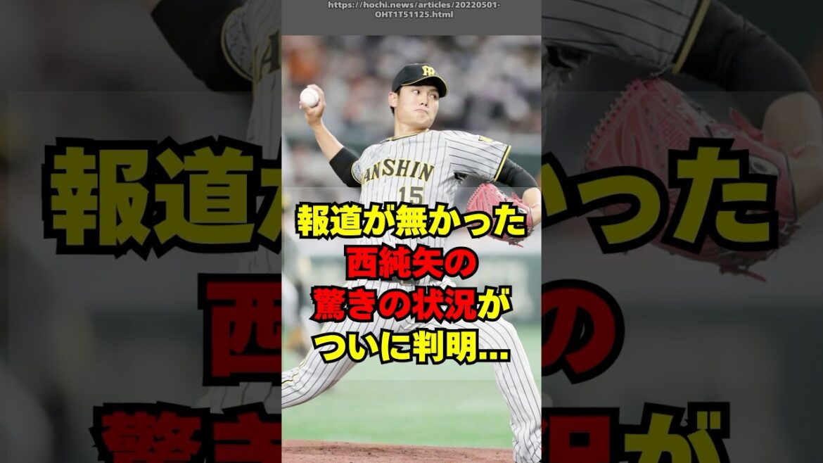 【阪神】西純矢の最新の状況がついに判明した件・・・ 【阪神】西純矢の最新の状況がついに判明した件・・・