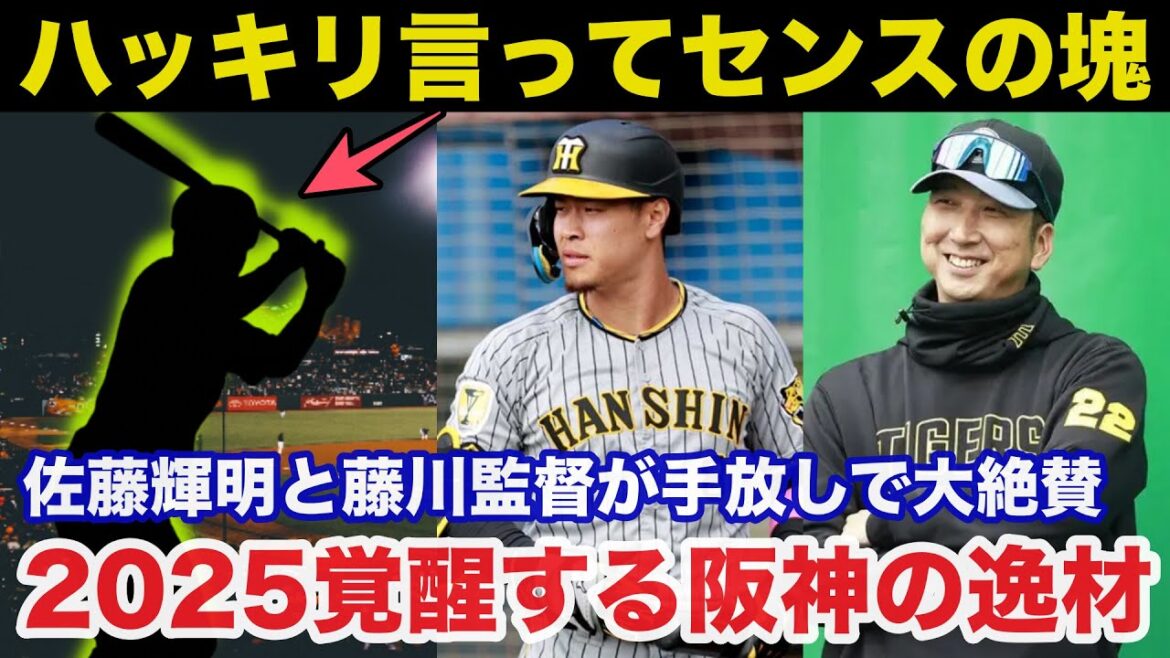 阪神.藤川監督と佐藤輝明が手放しで絶賛する2025年必ず覚醒するある逸材がコチラ【阪神タイガース】