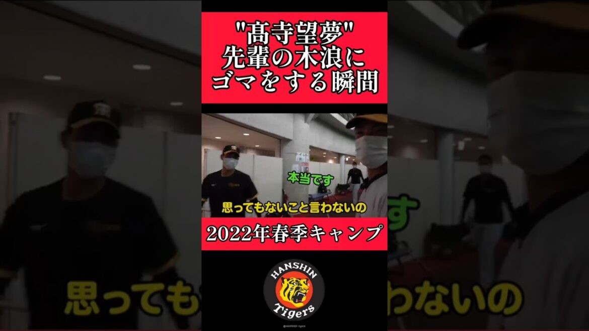 【阪神】"髙寺望夢"先輩の木浪にゴマすっているとイジられる！ #阪神 #阪神タイガース #髙寺望夢 #木浪聖也 #shorts