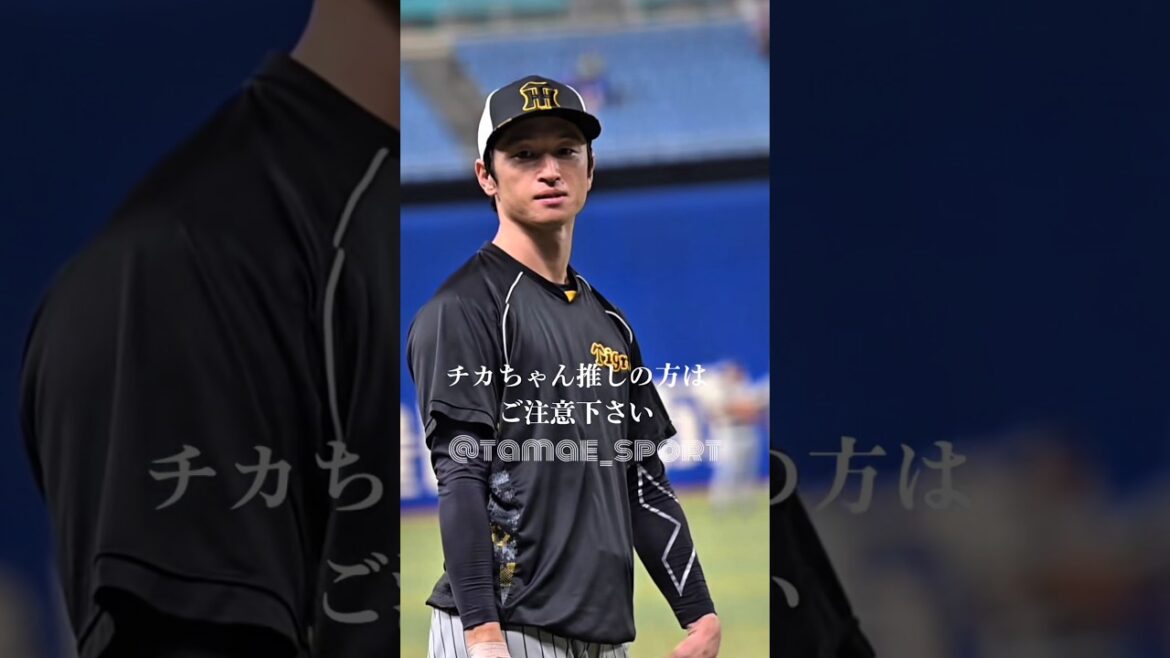 近本光司選手推しの方はご注意下さい #阪神タイガース