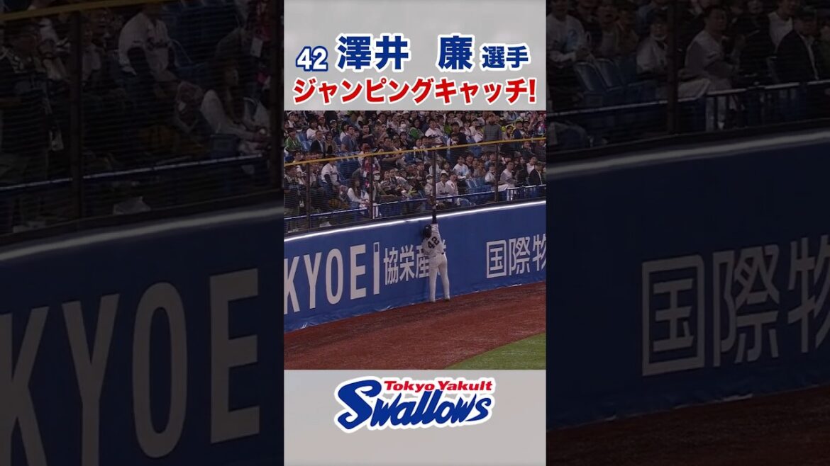 澤井廉選手ジャンピングキャッチ！  #swallows #澤井廉 #shorts