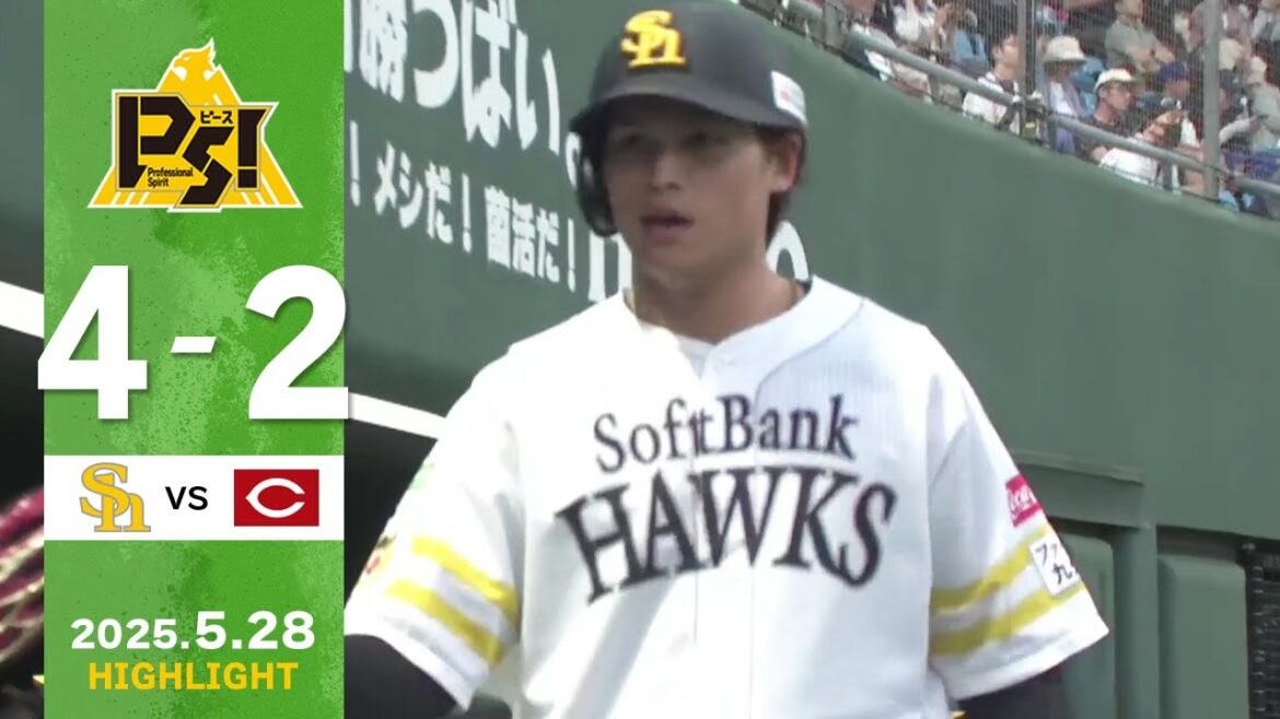 【2軍戦ハイライト】5月28日 vs広島