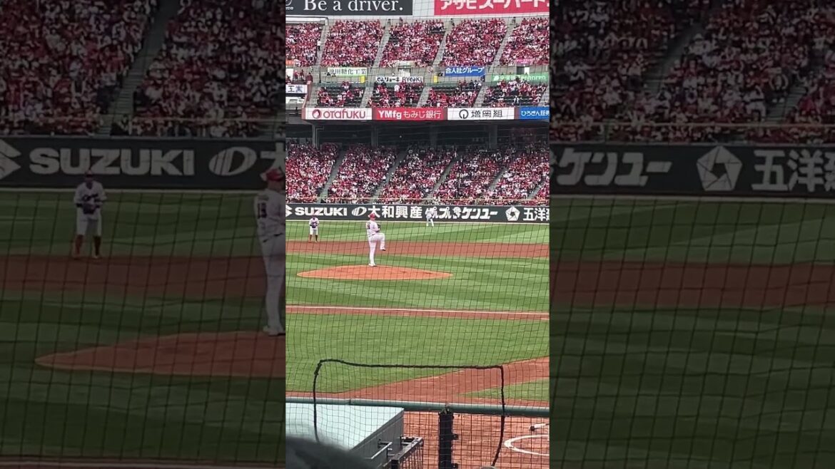 床田投手のピッチング練習 #カープ #床田寛樹 #ズムスタ