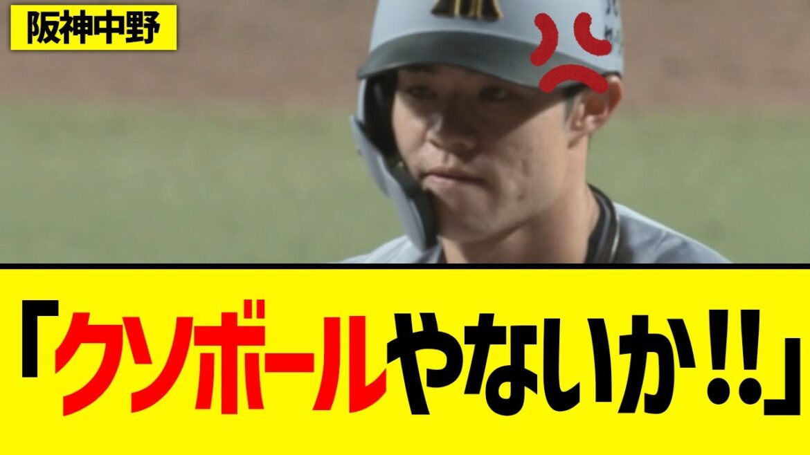 【帳尻】中日ファン「中野すまんなwwww」