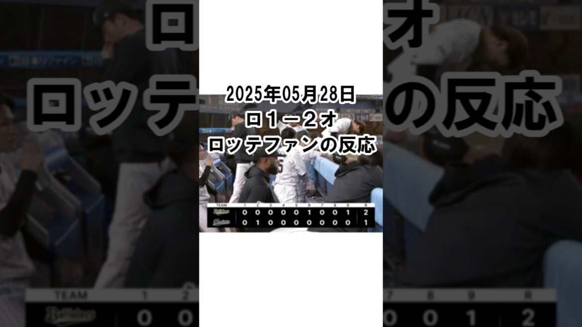 【2025年5月28日】ロッテ１－２オリックス　試合終了後のロッテファンの反応 #千葉ロッテマリーンズ #chibalotte