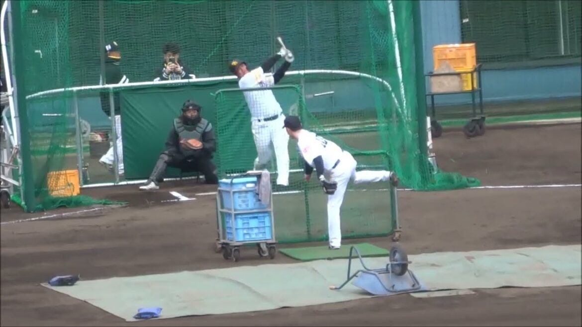 外野から見た笹川吉康、リチャード選手のバッティング練習 / SBホークス春季キャンプ2025