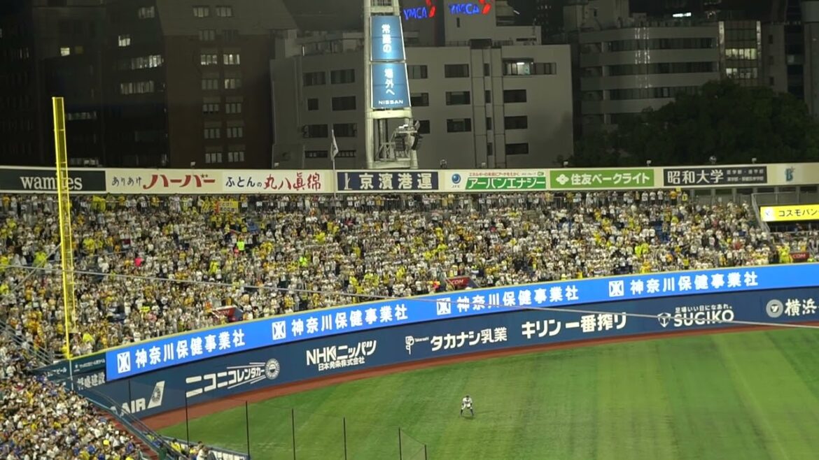 阪神タイガース 島田海吏 応援歌 in横浜スタジアム 2024 10-3