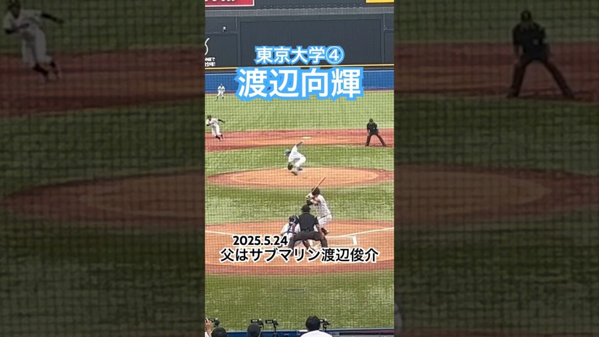 #渡辺向輝 #渡辺俊介 #東京大学 #東京六大学野球