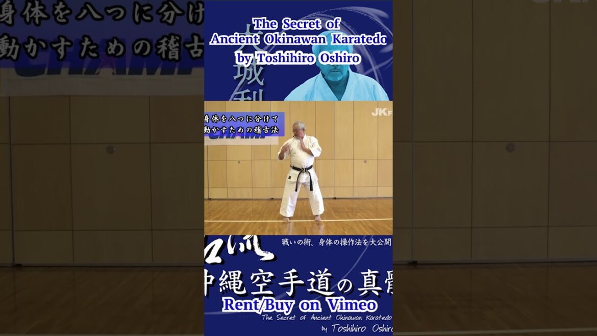 How to Break a Body into Parts #身体を分ける稽古法　The Secret of Ancient Okinawan Karatedo #大城利弘 #古流  #short
