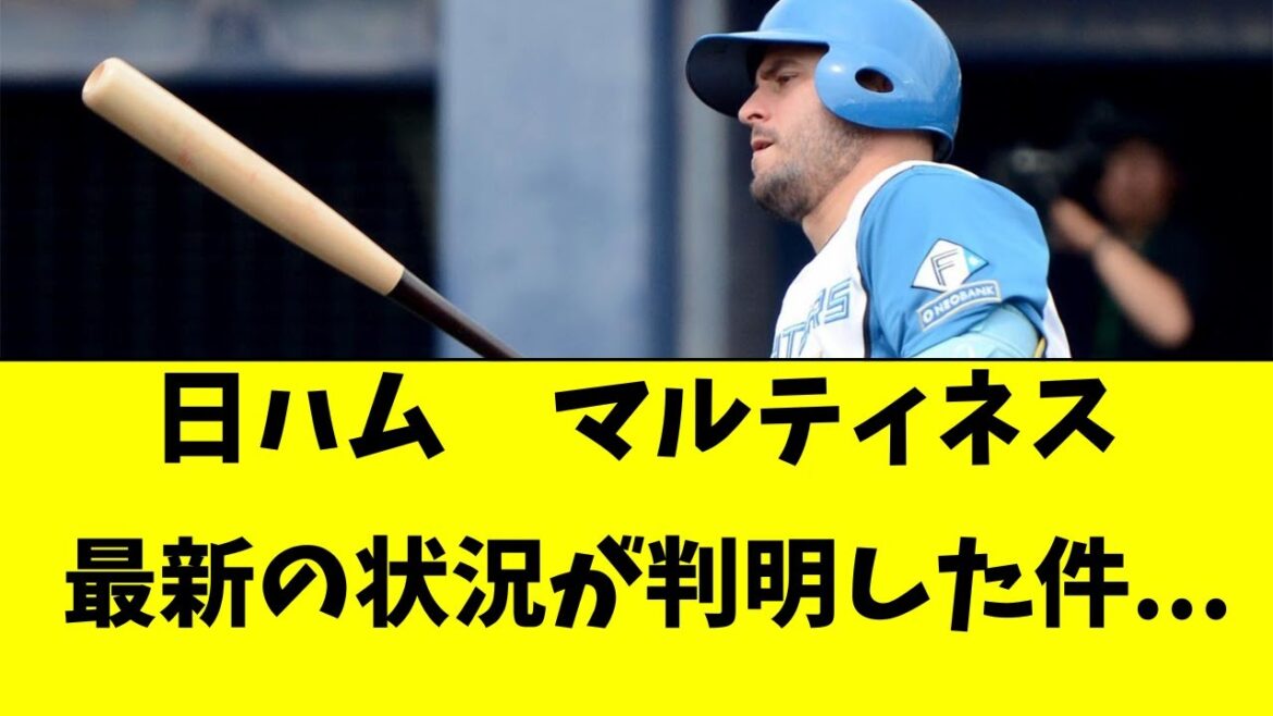 【日ハム】アリエル・マルティネスの最新の状況が判明・・・